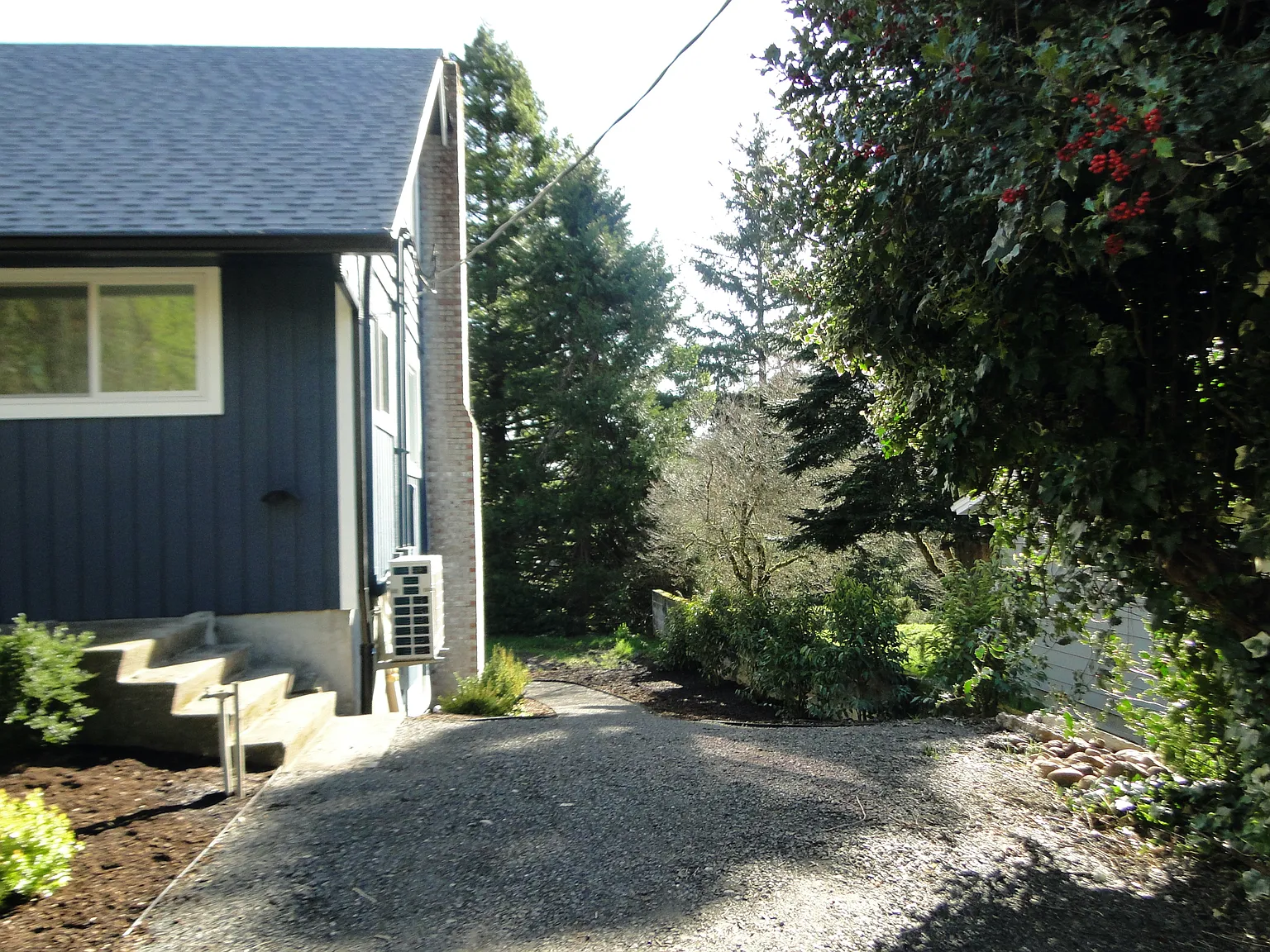 1 bed, 800 sqft, $1,500 — Photo 3