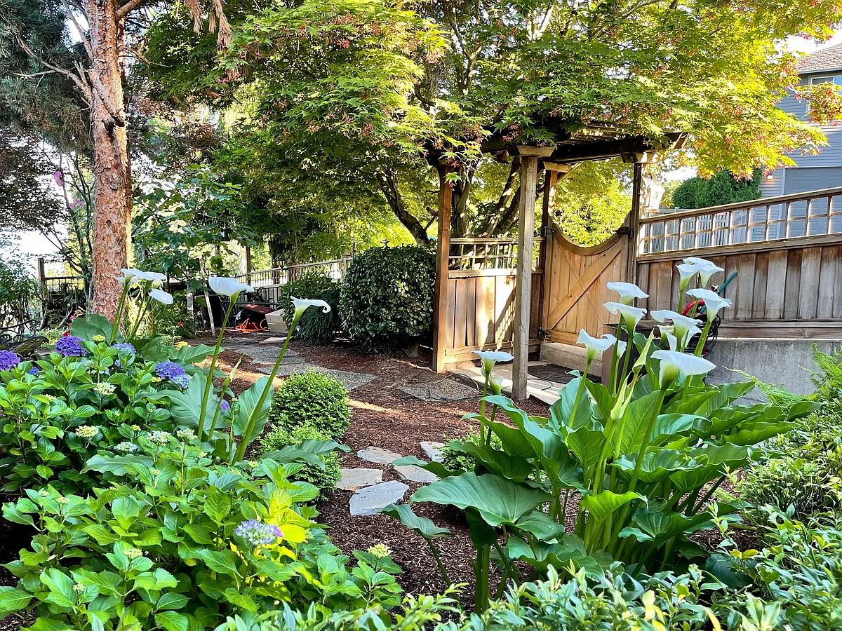 Front gate to private garden - 703 N 29th St