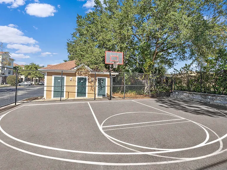 Basketball Court