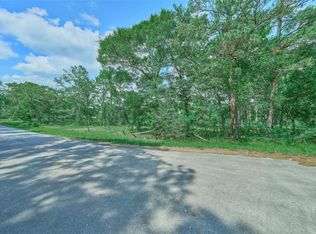 27592 S Log Cabin Rd, Montgomery, TX 77356