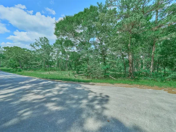 27592 S Log Cabin Rd, Montgomery, TX 77356