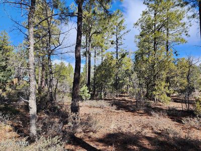 6964 Wagon Wheel Ln, Lakeside, AZ, 85929