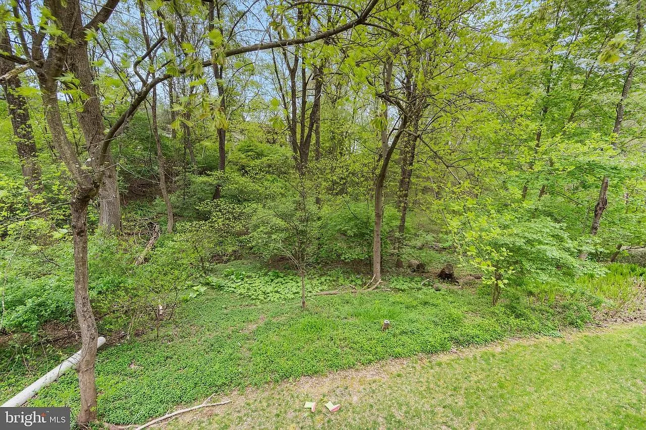 Walnut Springs Ct, West Chester — Photo 2