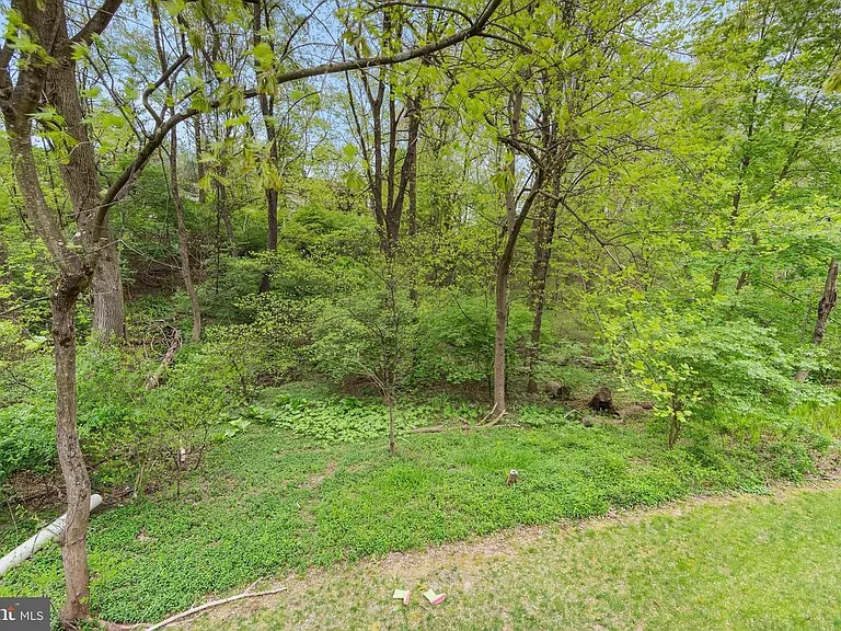 Walnut Springs Ct — Photo 2