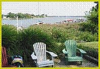 View from Patio