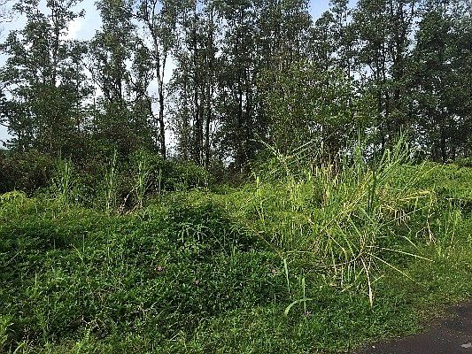 2nd image of Kiele St