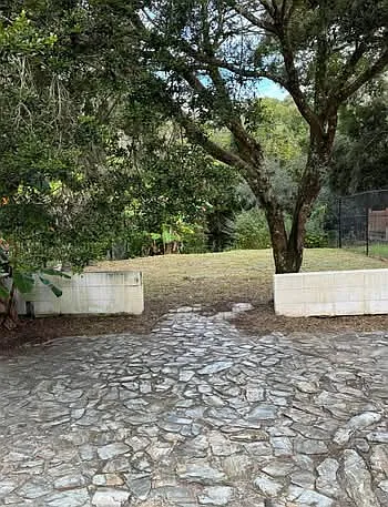 1907 E Mulberry Dr #A-A-2 — Photo 15