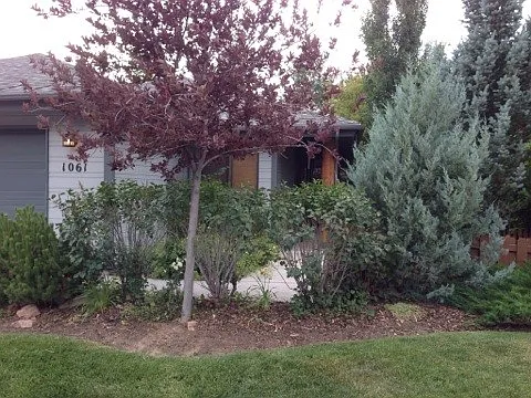 1061 Station Loop Rd — Photo 1