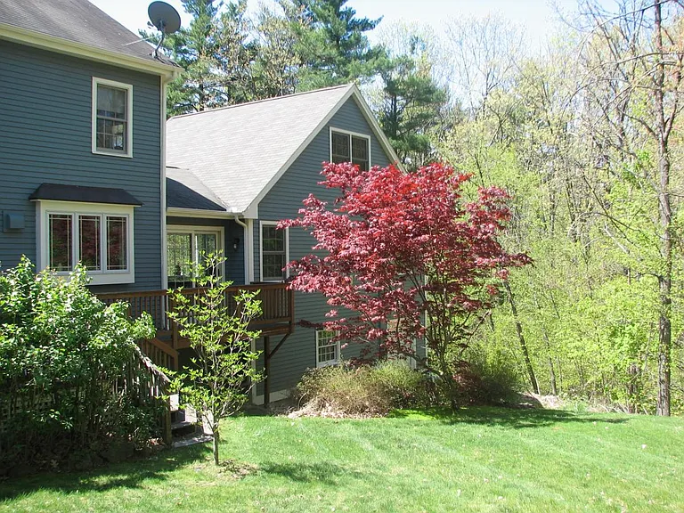 Back yard, with blooming Japanese Maple Tree