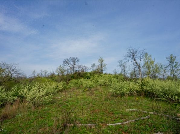 1526 Storys Run Rd, Cheshire, OH 45620