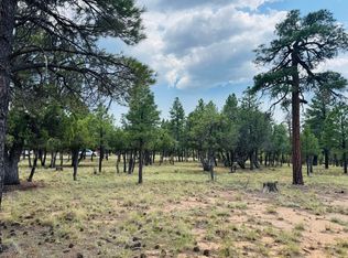 3236 Durango Dr, Happy Jack, AZ 86024