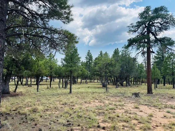 3236 Durango Dr, Happy Jack, AZ 86024
