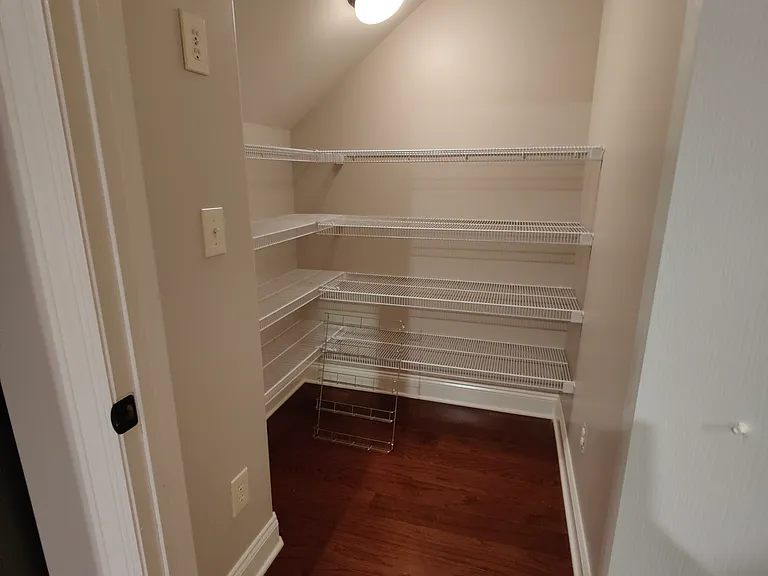 Walk in pantry from kitchen with light.