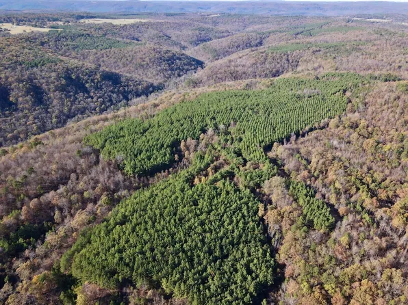 Highway 16 Loop W Lot Wp001, Clinton, AR 72031