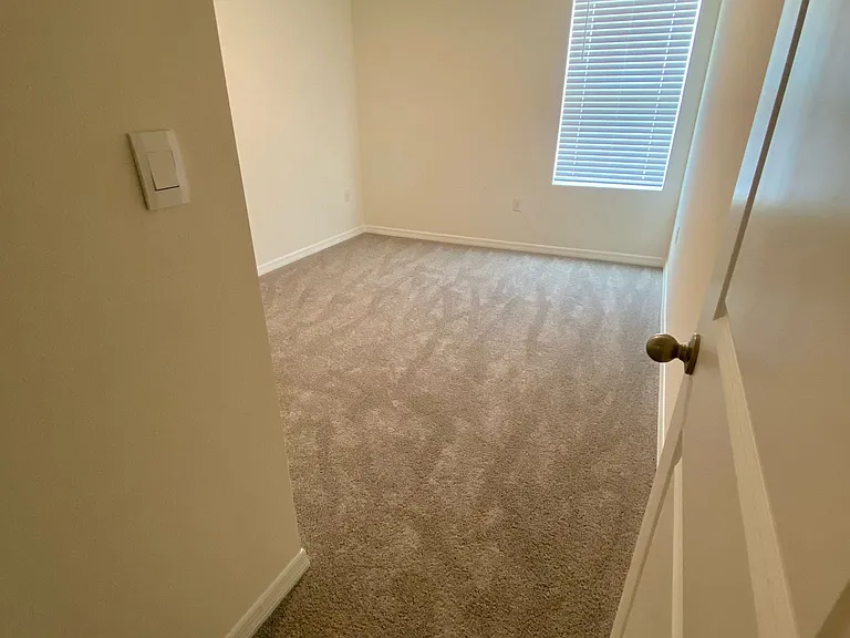 392 Preston Cove Dr — Photo 10