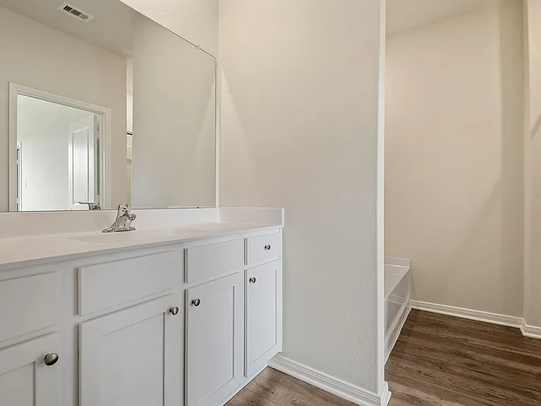 Master bathroom