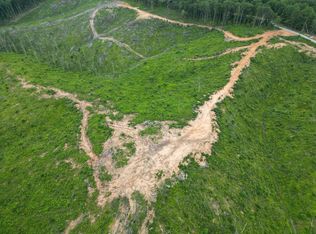 0F Springer Rd, Hohenwald, TN 38462