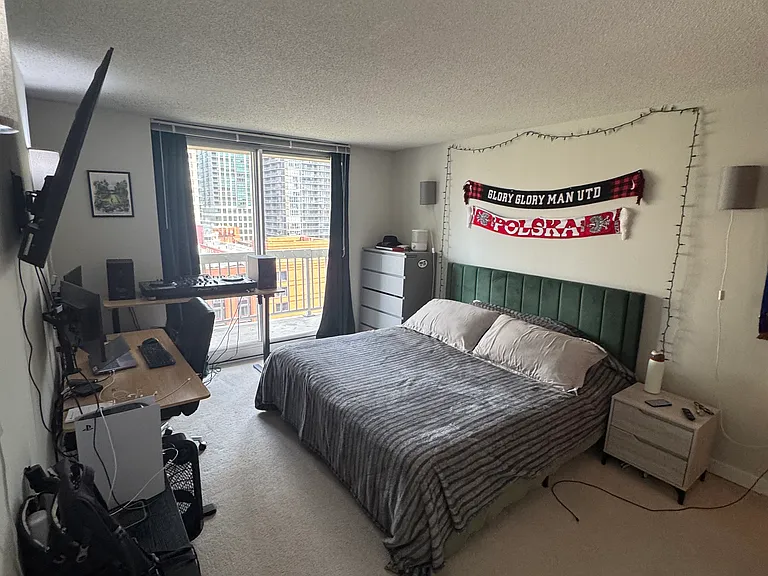 545 N Dearborn St #1307 — Photo 8