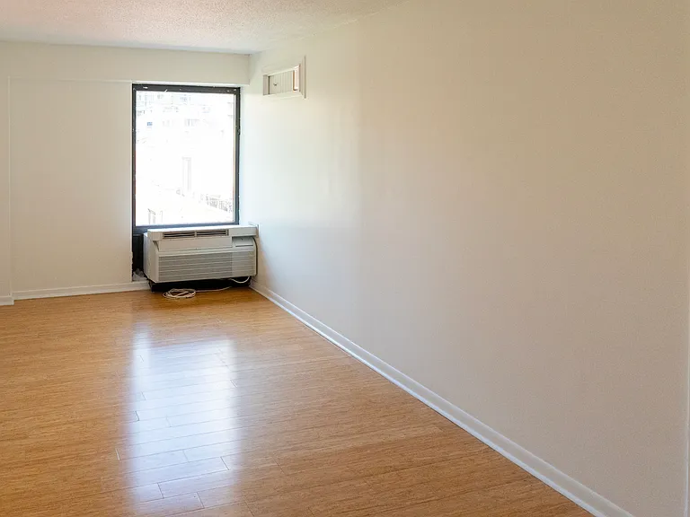 1169 S Plymouth Ct #302 — Photo 7