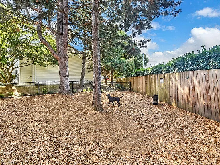 Dog Park Foothills Apartments Portland OR