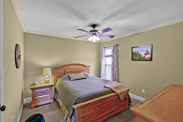 12 Lillie Cv — Photo 13