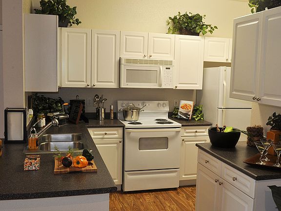 Full Kitchen with Microwave and Dishwasher