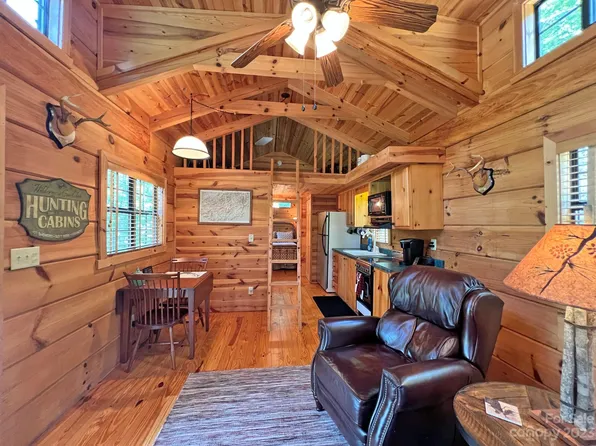 1625 Roaring Fork Rd, Hot Springs, NC 28743