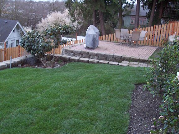 landscaped back yard