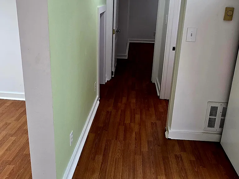 Lower Floor Hall (Front Door to BR)