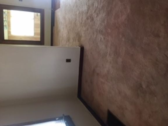 5th image of 1644 Martin Luther King Dr