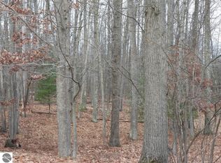 Lots 10 11 12 Findley St, Roscommon, MI 48653