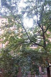 Rented by Susan Finkel, LREB