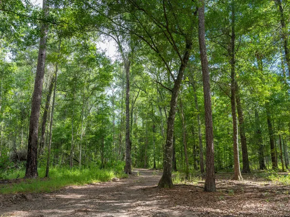 0 Cal Thomas Rd, Whigham, GA 39897