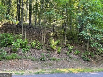 61 Mountainside Ct, Cleveland, GA, 30528