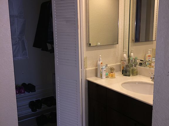 Master Bath Sink Area / Closet
