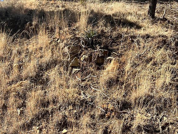 4th image of 115 College Dr