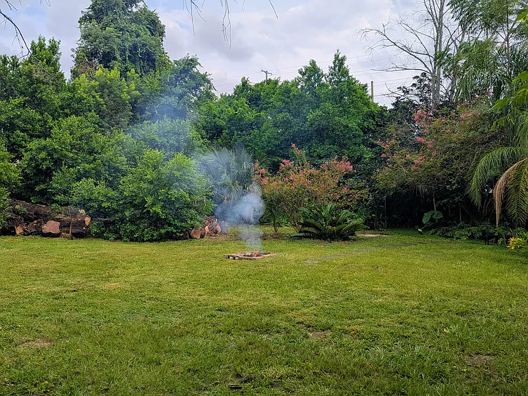 Large backyard surrounded by thick trees