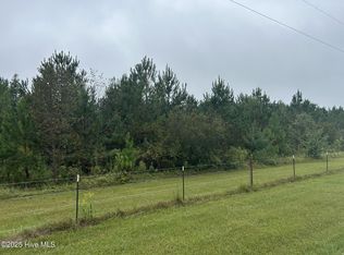 10.6 Crooked Run Road, Willard, NC 28478