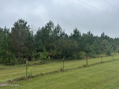 10.6 Crooked Run Road, Willard, NC, 28478