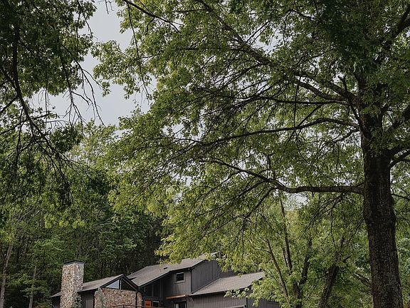 4th image of 1003 Perkins Ln