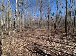 LOT 738 Pine Run, Elmira, MI 49730