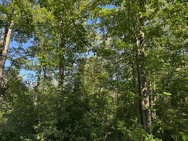 2nd image of 1-17A Hudson Hill Road