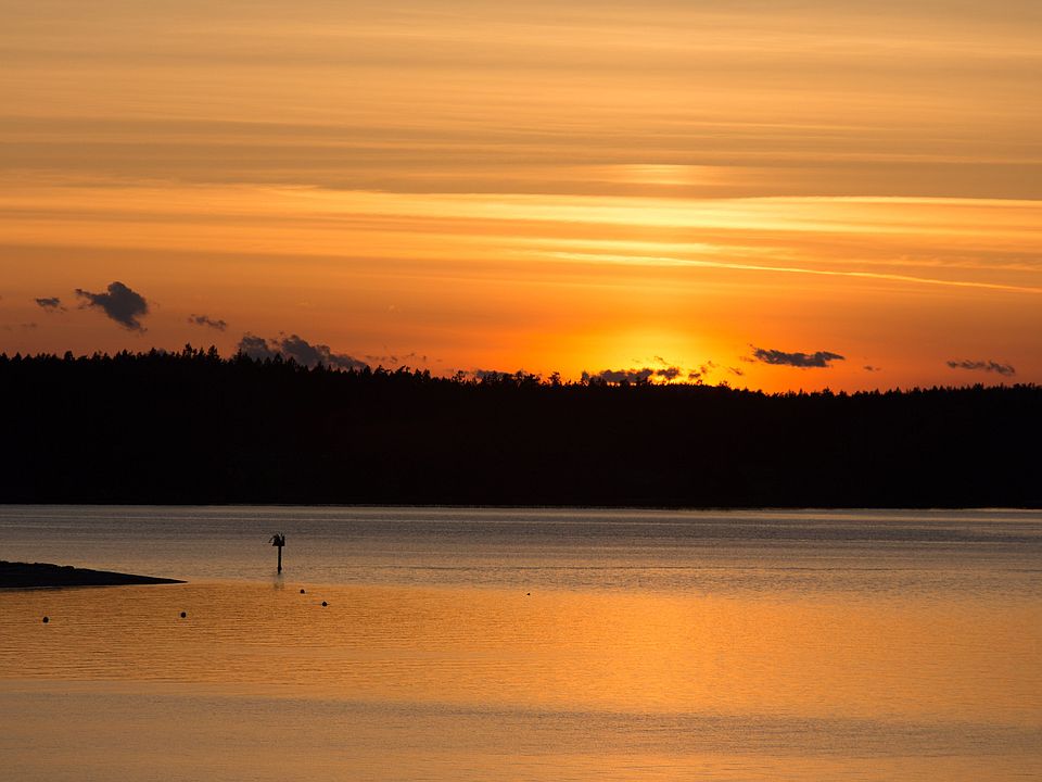 Gorgeous Sunsets