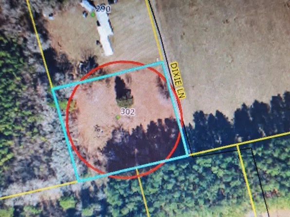 302 Dixie Ln, Bladenboro, NC 28320
