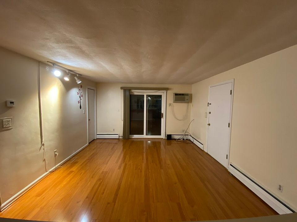 Hall and entrance