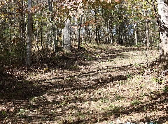 5th image of 0 Tract Lot #2