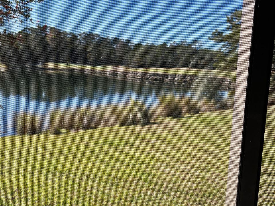 8th green King & Bear golf course