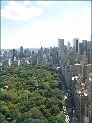 Rented by Brown Harris Stevens | media 15