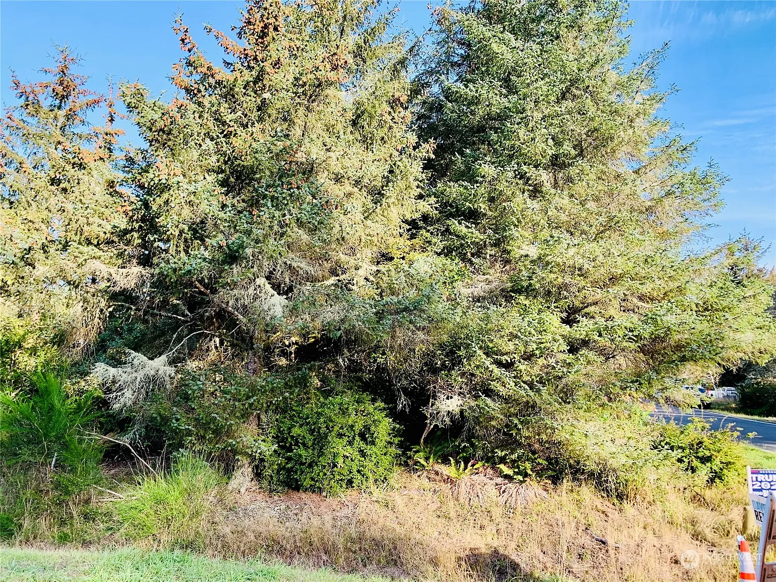 395 Duck Lake Drive NE photo 1