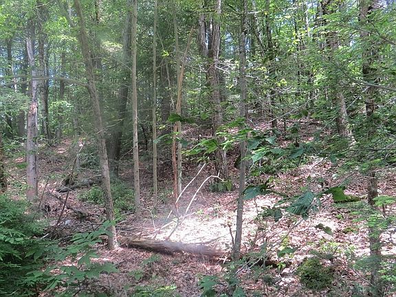 4th image of LOT 1 Pratt Corner Rd
